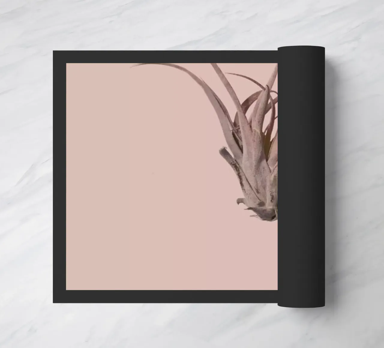 Botanico V zerbino da Elena Veronese