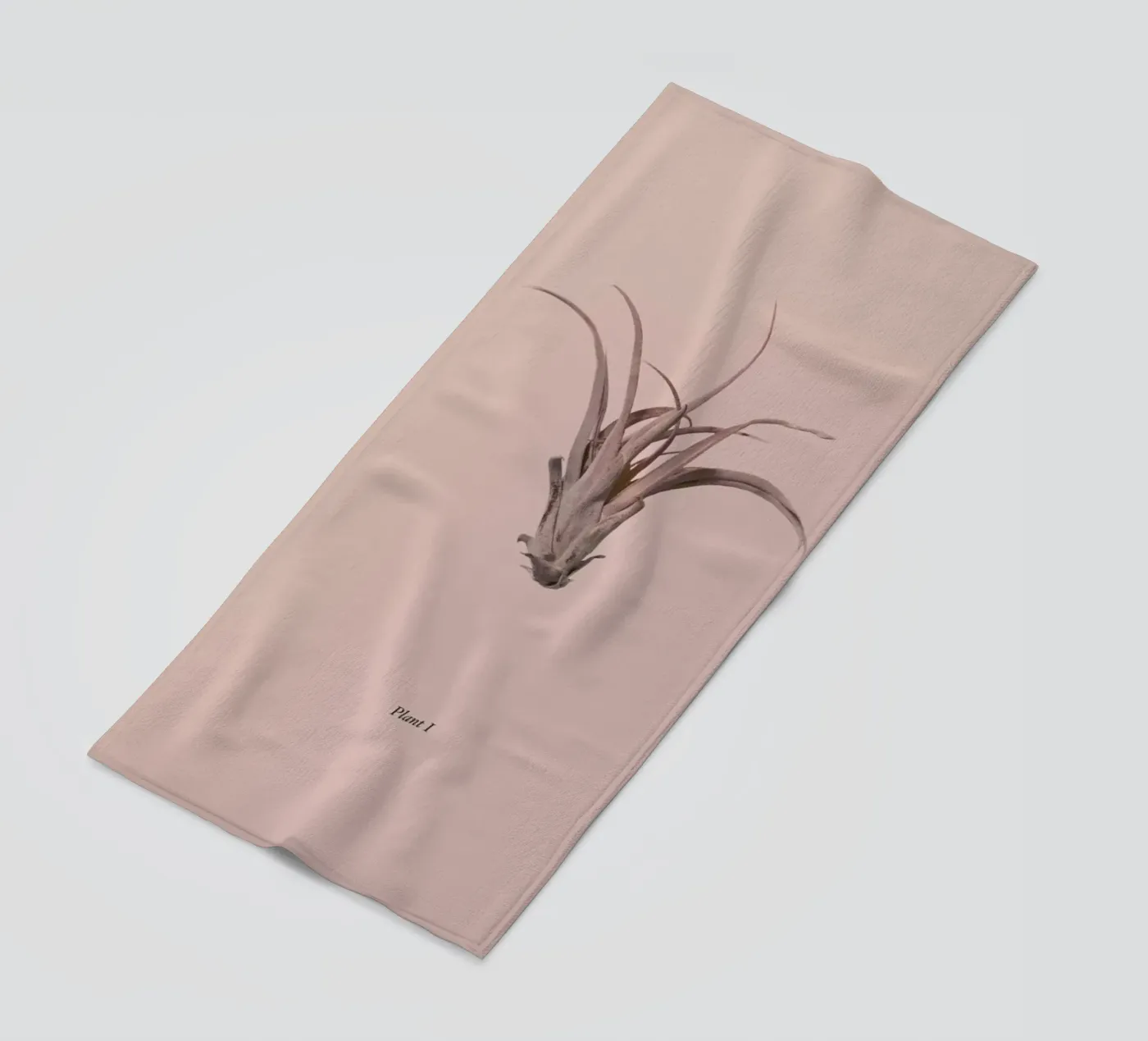 Botanico V telo mare da Elena Veronese