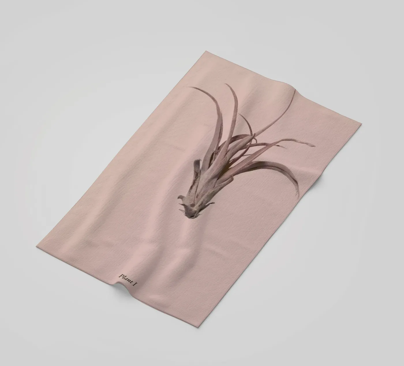 Botanico V telo mare da Elena Veronese