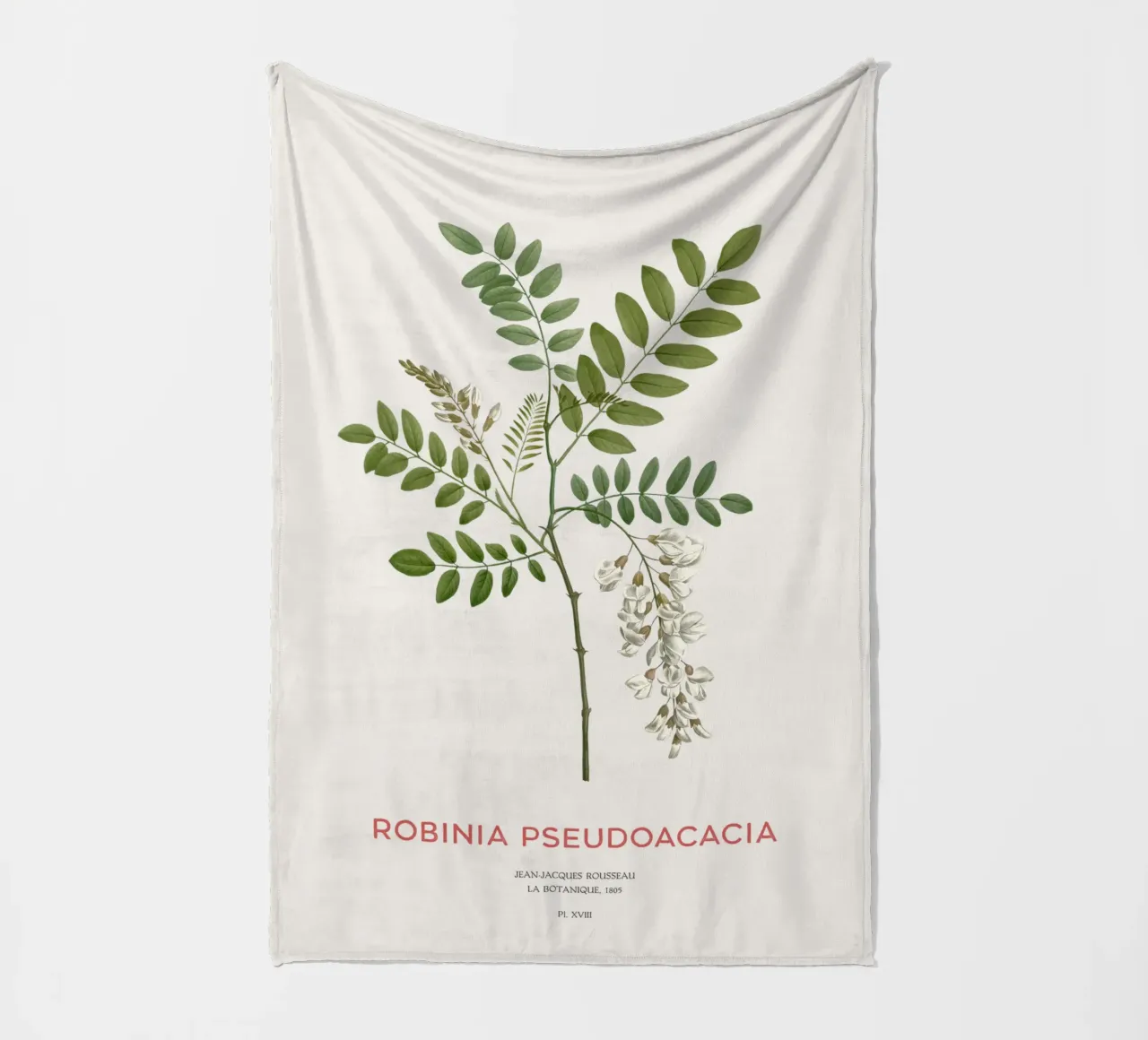 Robinia pseudoacacia o locusta nera coperta in pile da Vintagrafica