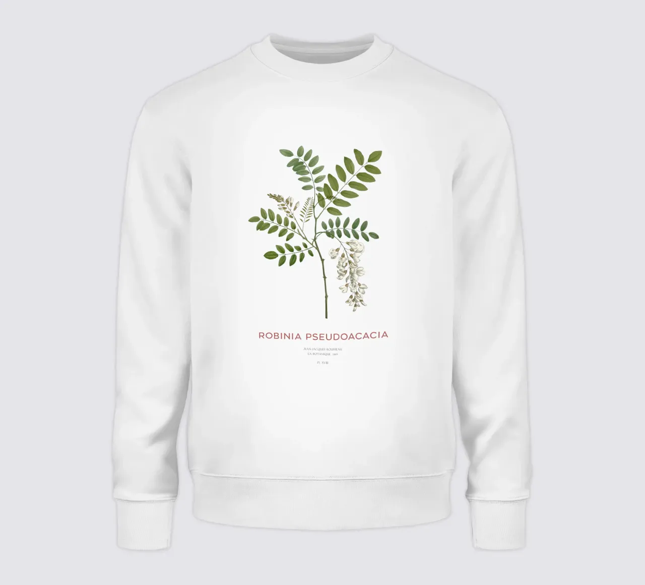 Robinia pseudoacacia o locusta nera felpa da Vintagrafica