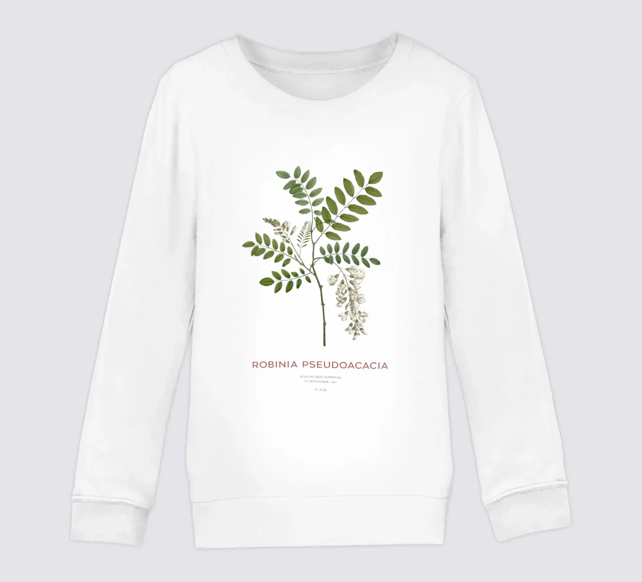 Robinia pseudoacacia o locusta nera felpa bambino da Vintagrafica