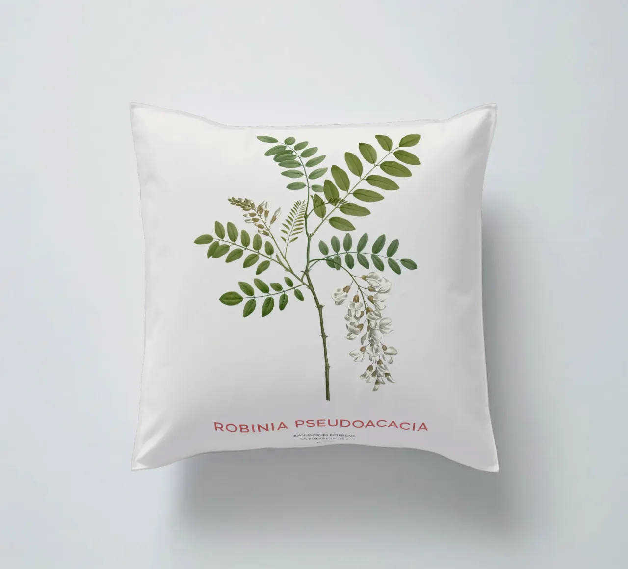 Robinia pseudoacacia o locusta nera cuscino da Vintagrafica