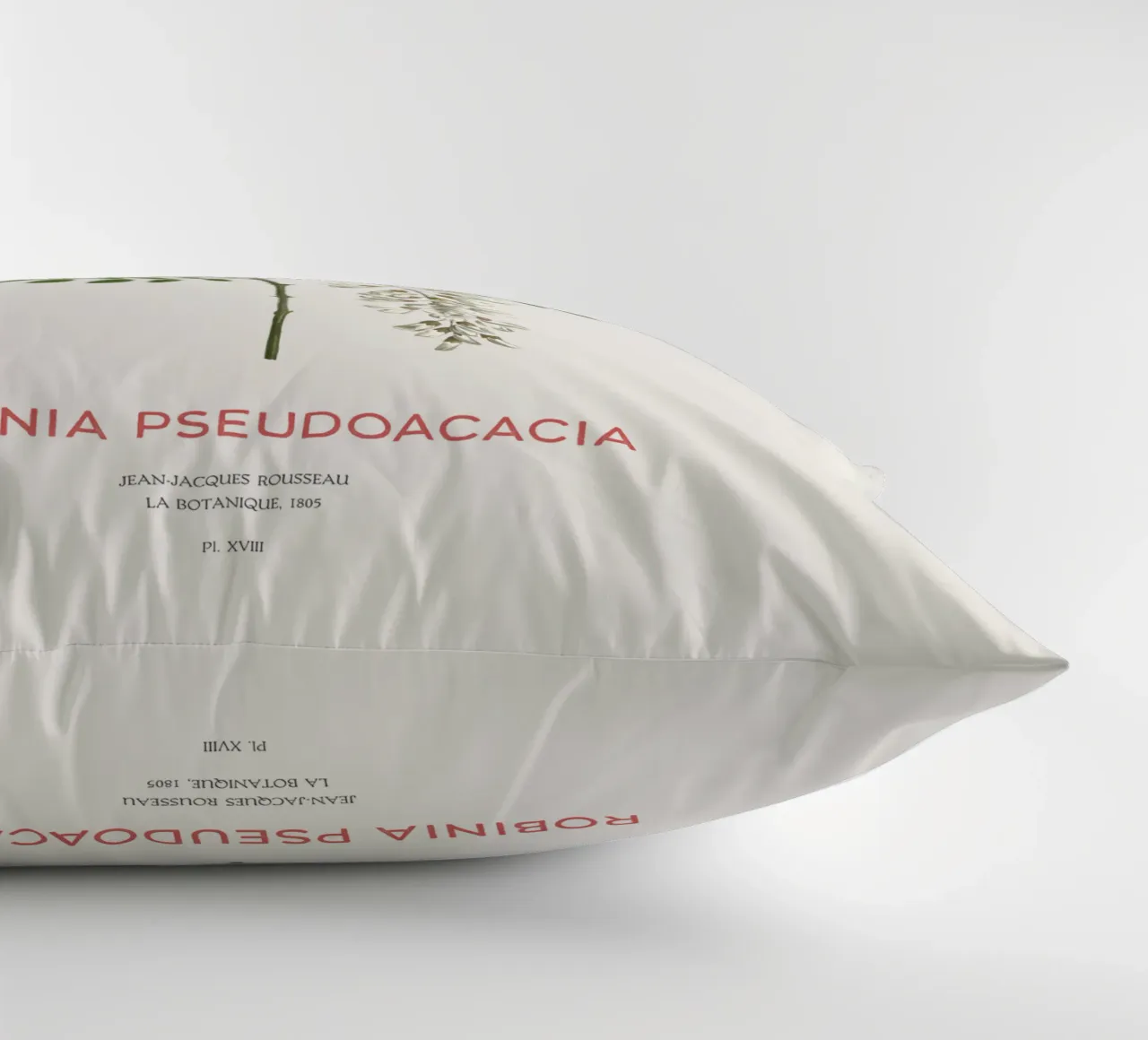 Robinia pseudoacacia o locusta nera cuscino da Vintagrafica