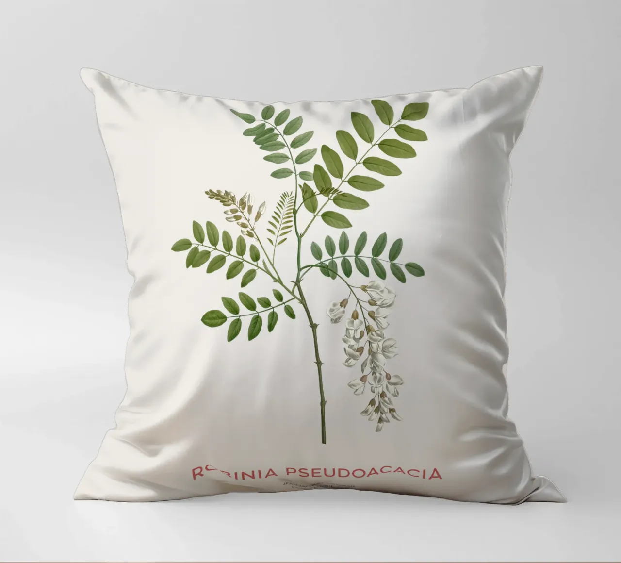 Robinia pseudoacacia o locusta nera cuscino da Vintagrafica