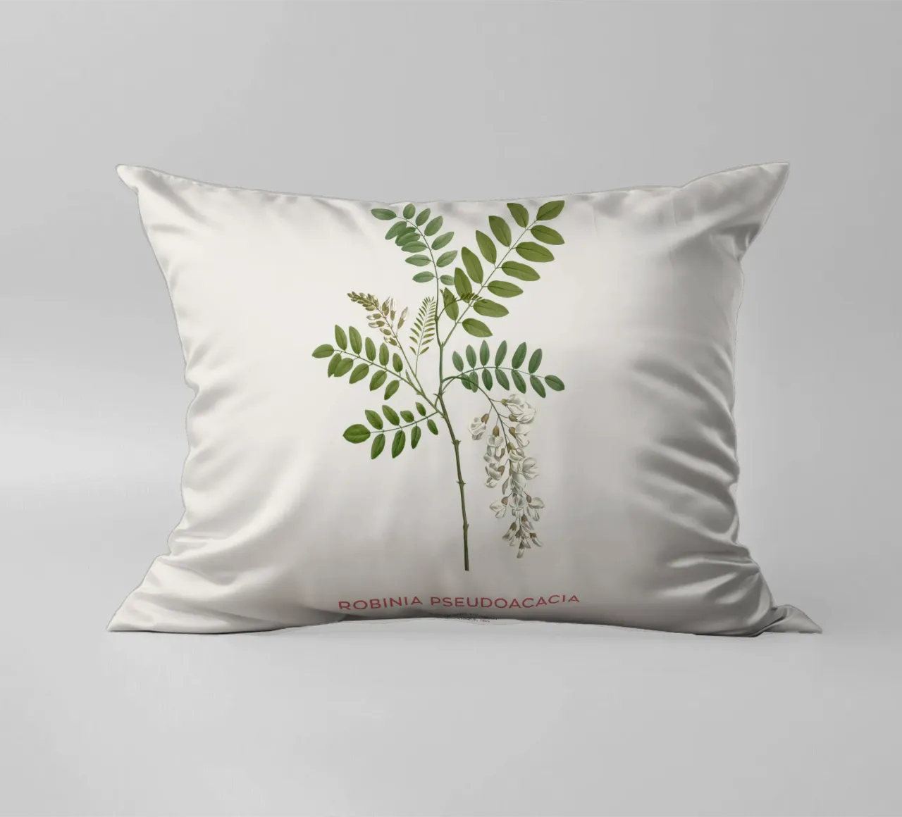 Robinia pseudoacacia o locusta nera cuscino da Vintagrafica