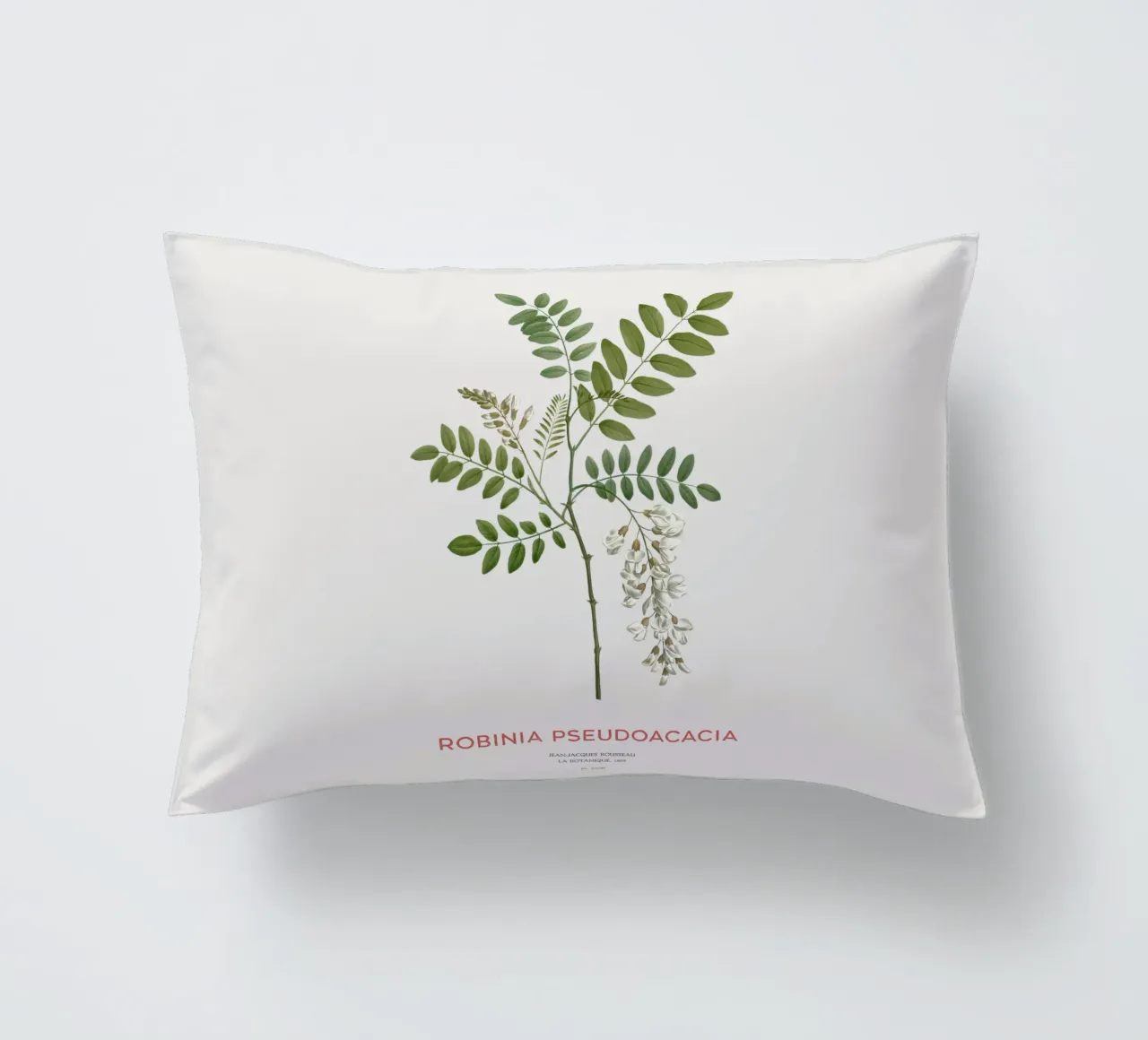 Robinia pseudoacacia o locusta nera cuscino da Vintagrafica