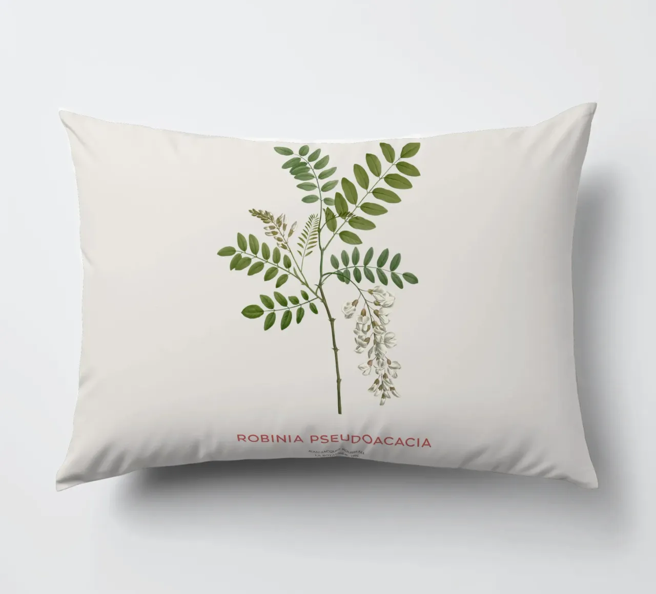 Robinia pseudoacacia o locusta nera cuscino da Vintagrafica