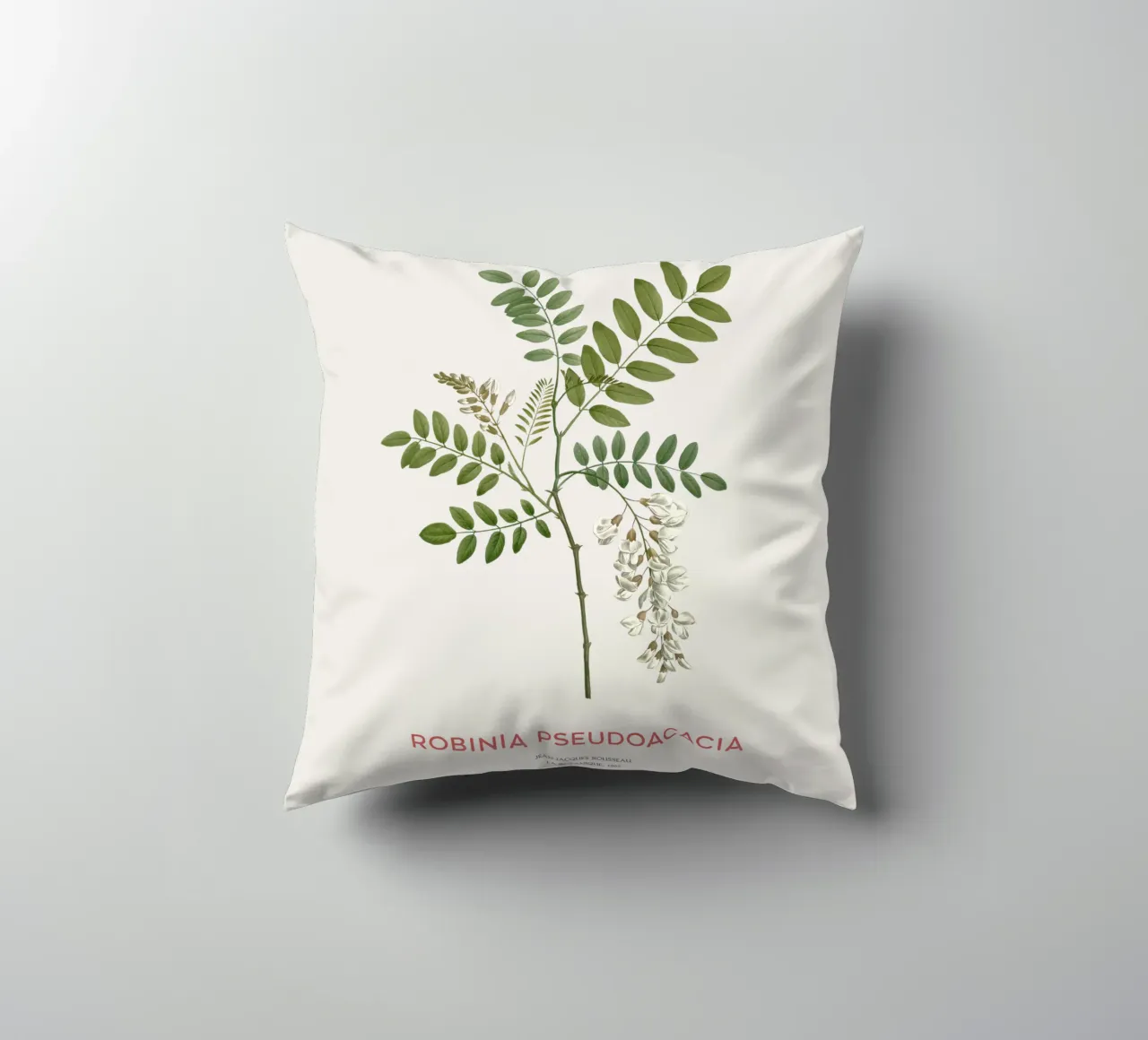 Robinia pseudoacacia o locusta nera cuscino da Vintagrafica