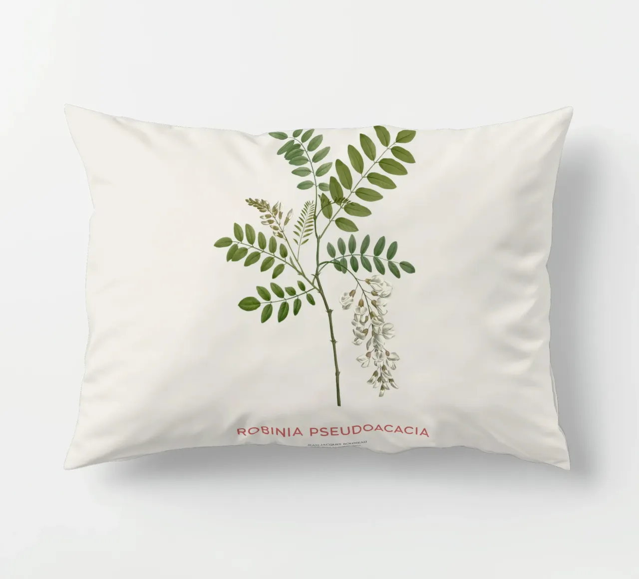 Robinia pseudoacacia o locusta nera cuscino da Vintagrafica