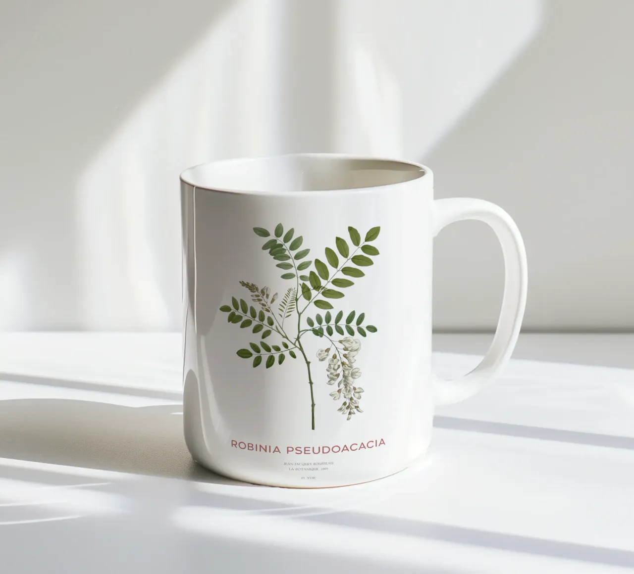 Robinia pseudoacacia o locusta nera tazza in ceramica da Vintagrafica