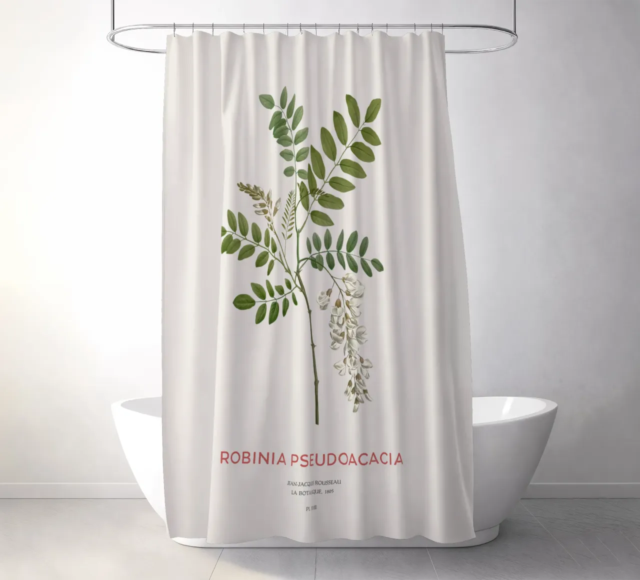 Robinia pseudoacacia o locusta nera tenda da doccia da Vintagrafica
