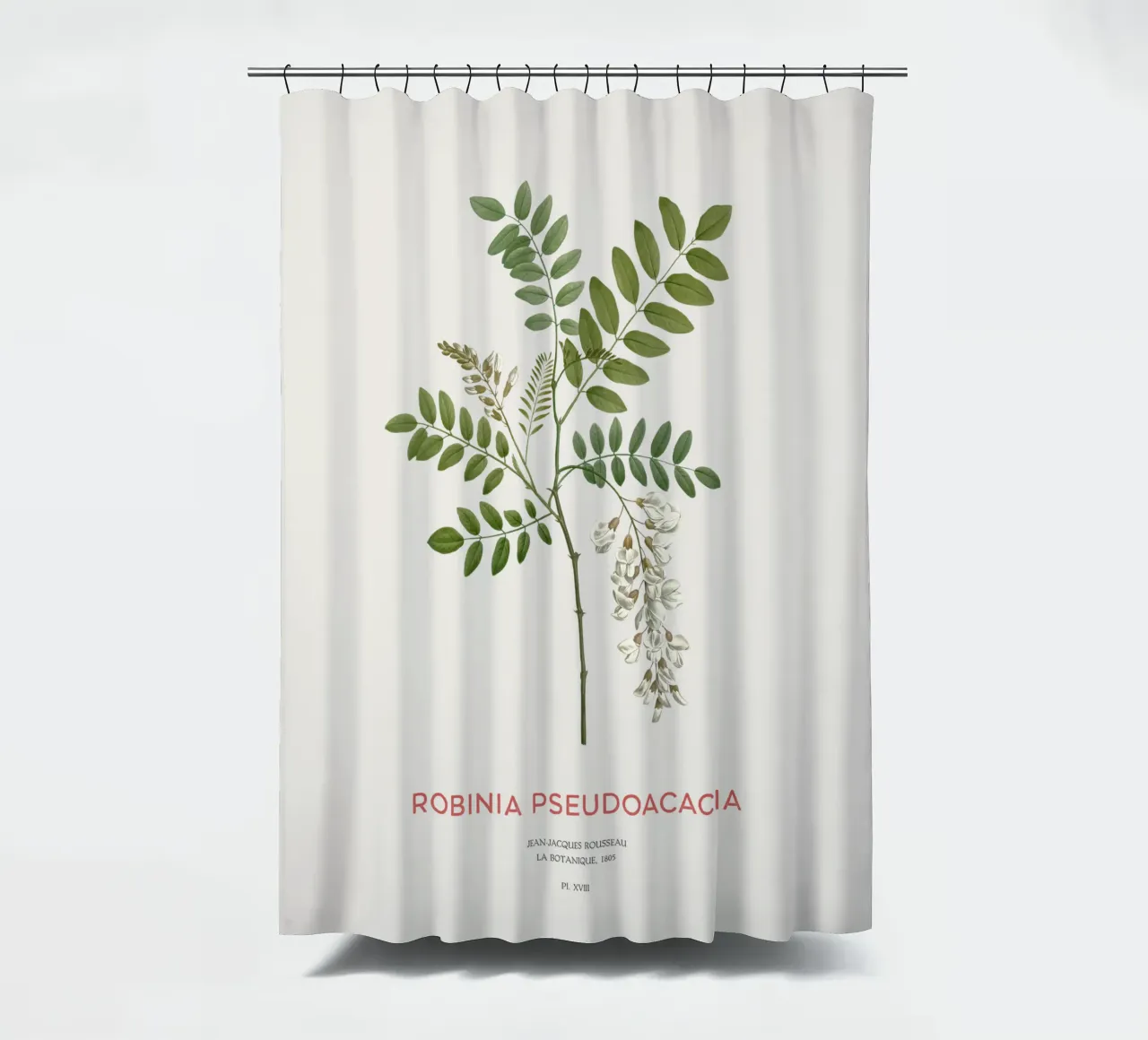 Robinia pseudoacacia o locusta nera tenda da doccia da Vintagrafica