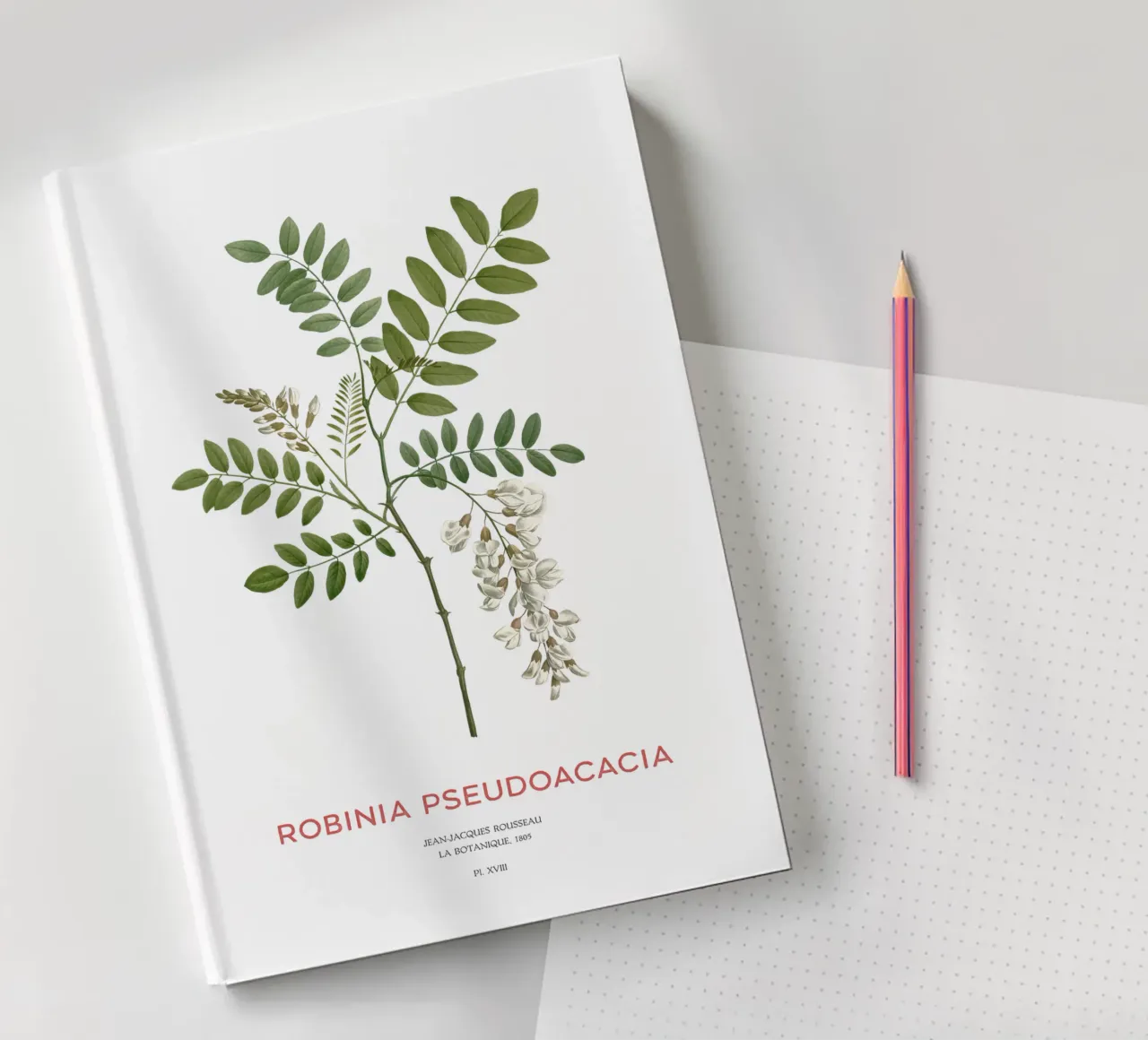 Robinia pseudoacacia o locusta nera diario da Vintagrafica