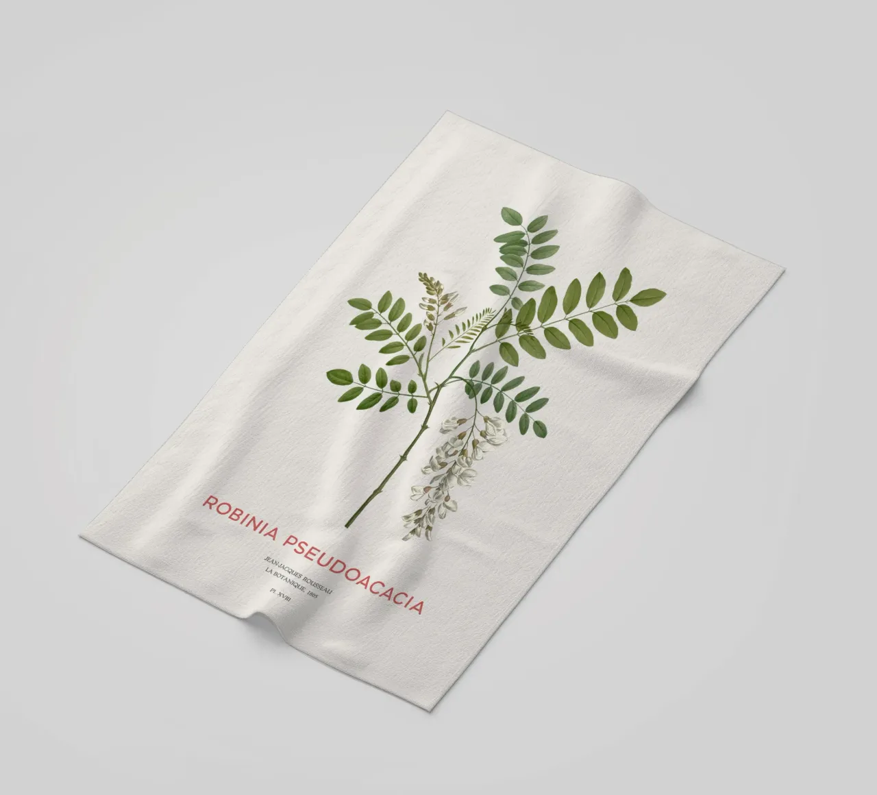 Robinia pseudoacacia o locusta nera telo mare da Vintagrafica
