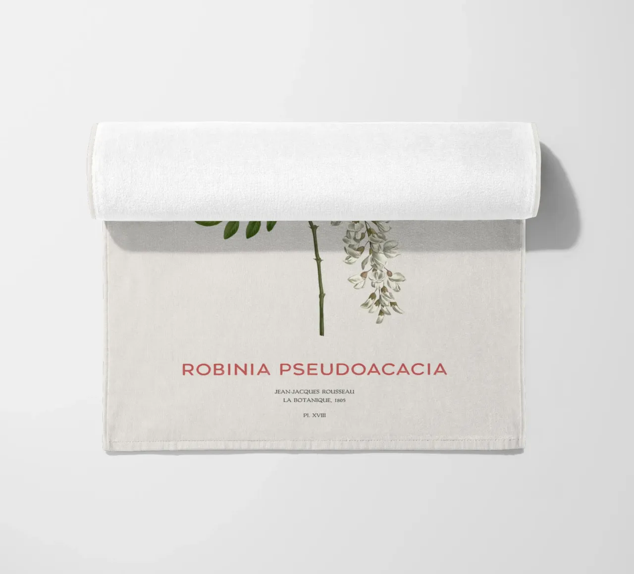 Robinia pseudoacacia o locusta nera telo mare da Vintagrafica