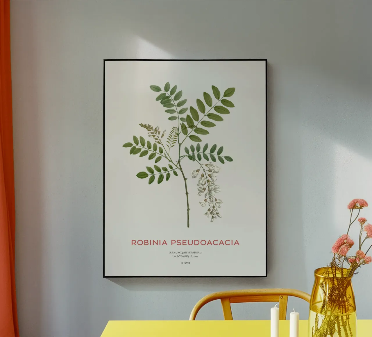 Robinia pseudoacacia o locusta nera plexiglass da Vintagrafica
