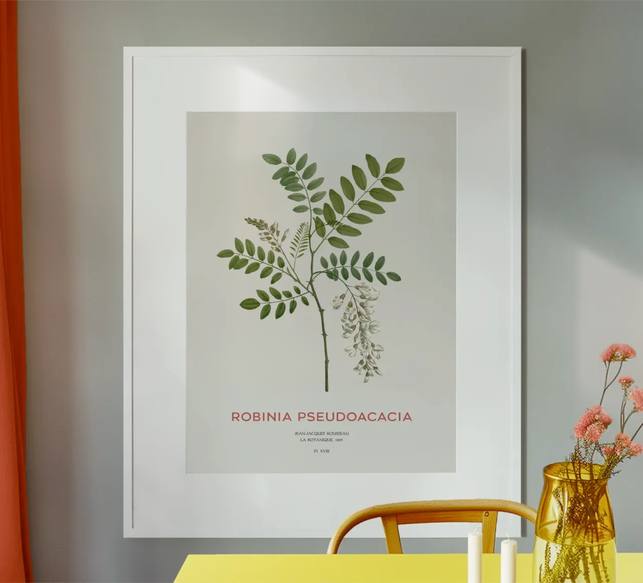 Robinie oder Robinia pseudoacacia Hahnemühle von Vintagrafica