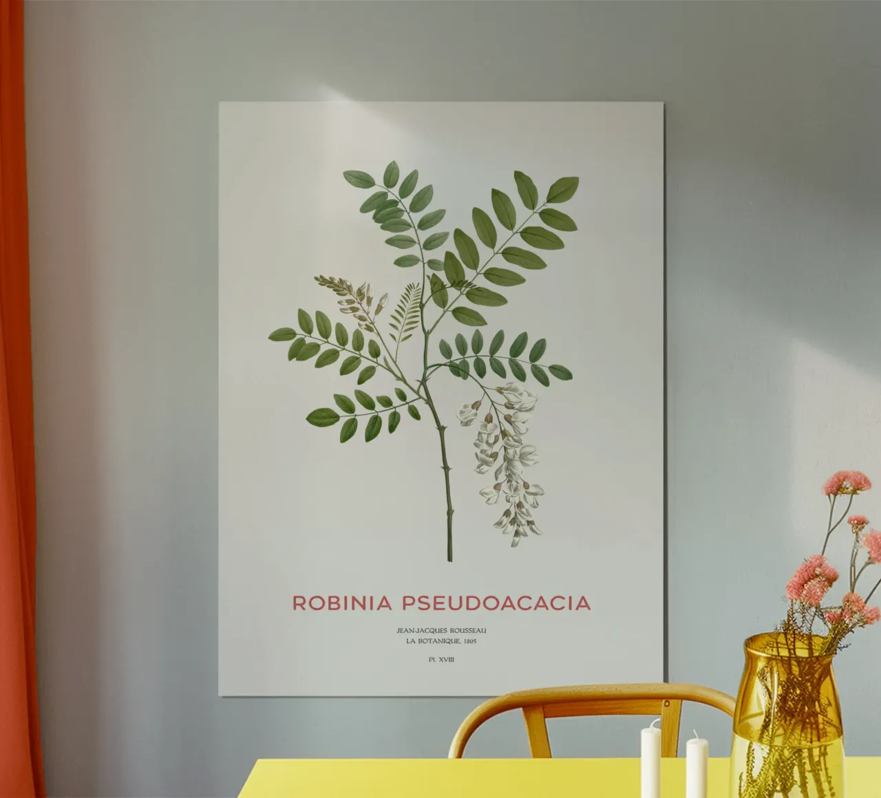 Robinie oder Robinia pseudoacacia Hahnemühle von Vintagrafica