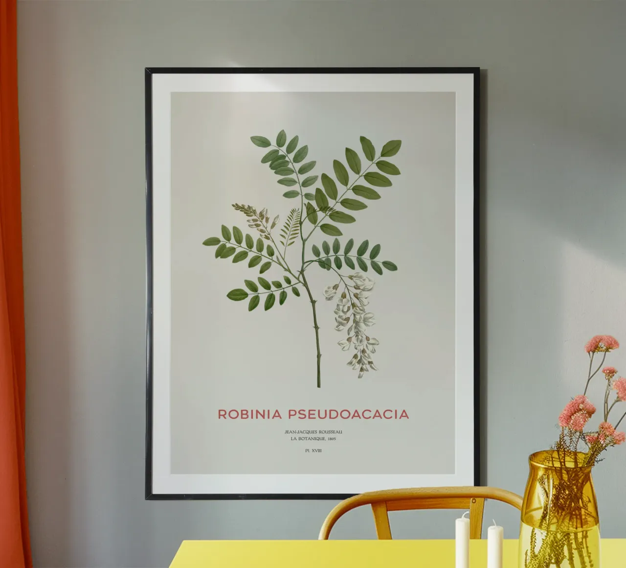 Robinie oder Robinia pseudoacacia Hahnemühle von Vintagrafica