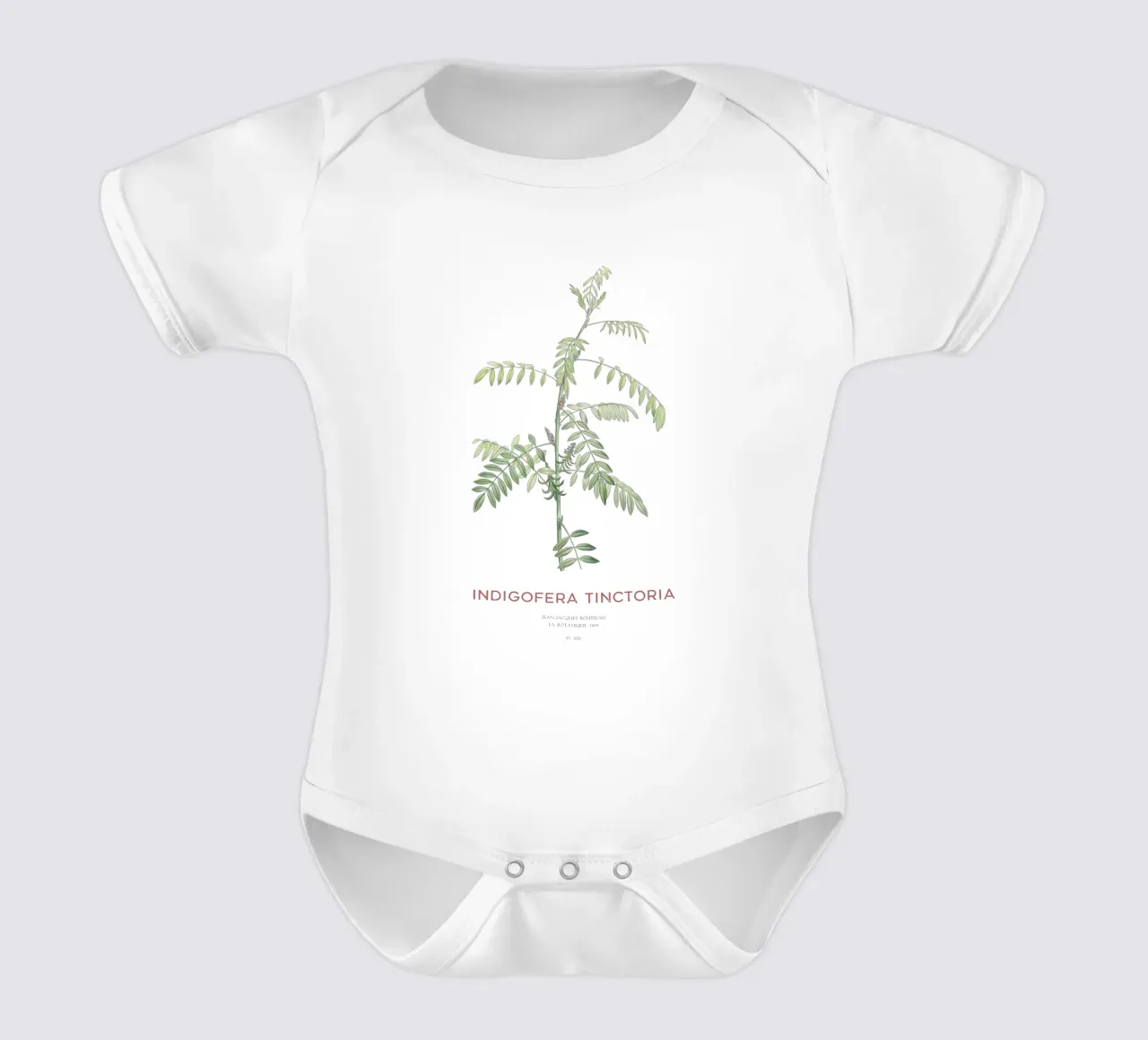Echter Indigo oder Indigofera tinctoria Kurzarm Babybody von Vintagrafica
