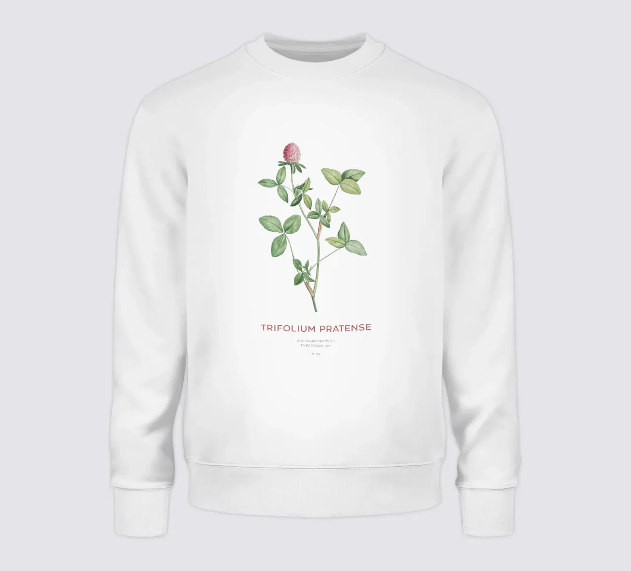 Trifoglio rosso o Trifolium pratense felpa da Vintagrafica