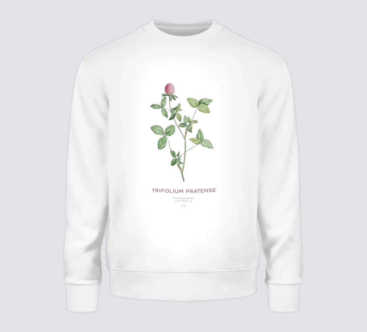 Rotklee oder Trifolium pratense Sweatshirt von Vintagrafica