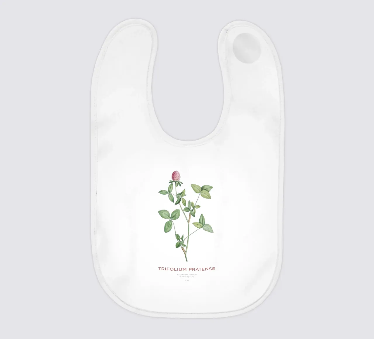 Rotklee oder Trifolium pratense Babylätzchen von Vintagrafica