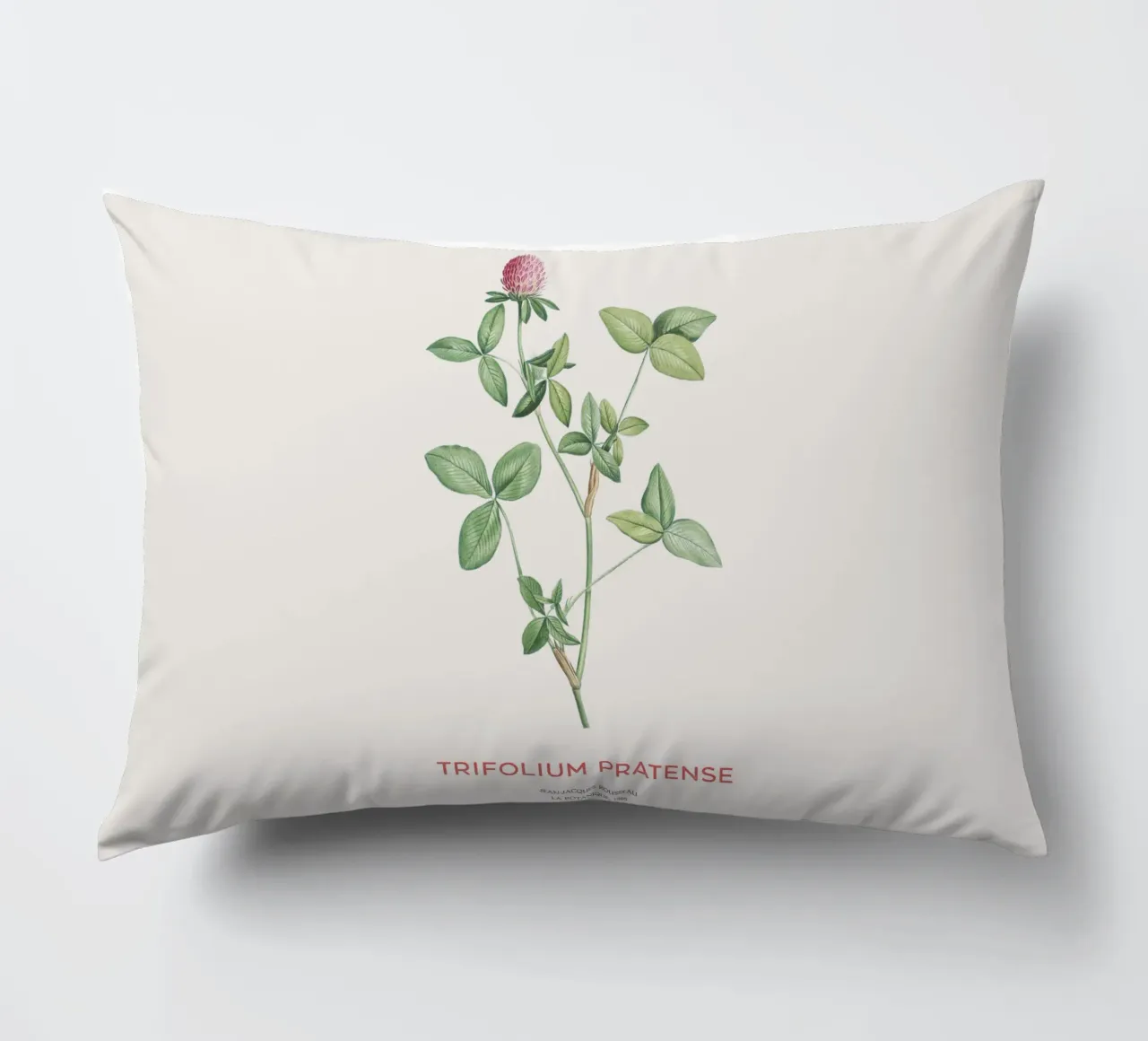 Trifoglio rosso o Trifolium pratense cuscino da Vintagrafica