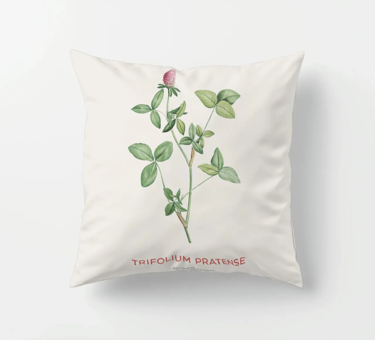 Trifoglio rosso o Trifolium pratense cuscino da Vintagrafica