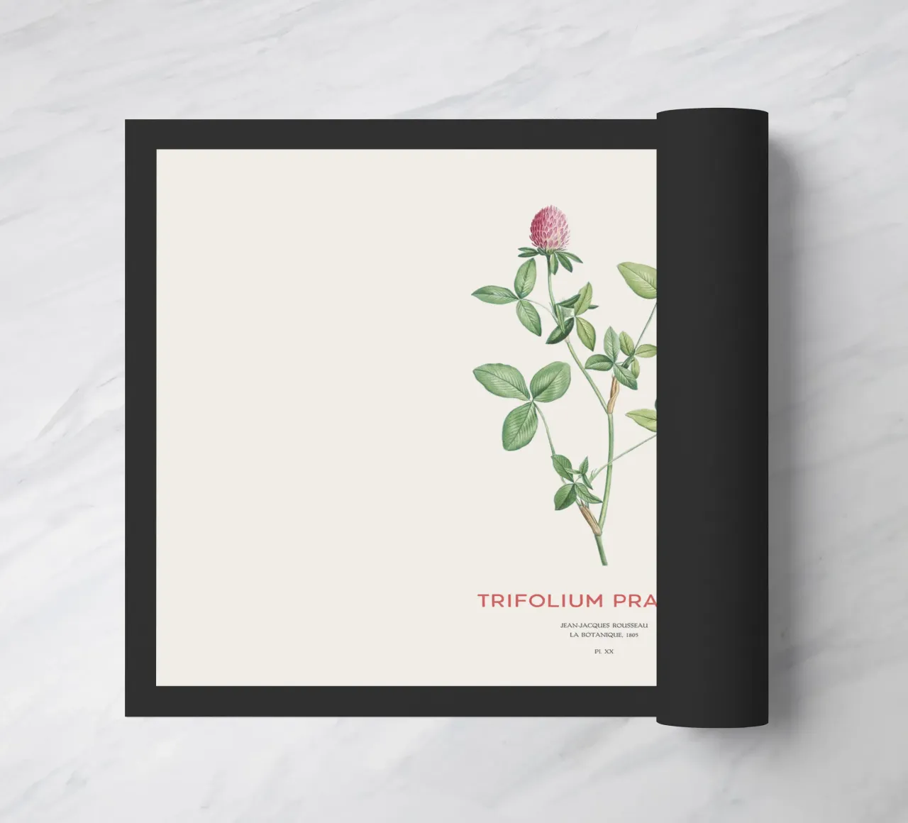 Rotklee oder Trifolium pratense Fußmatte von Vintagrafica