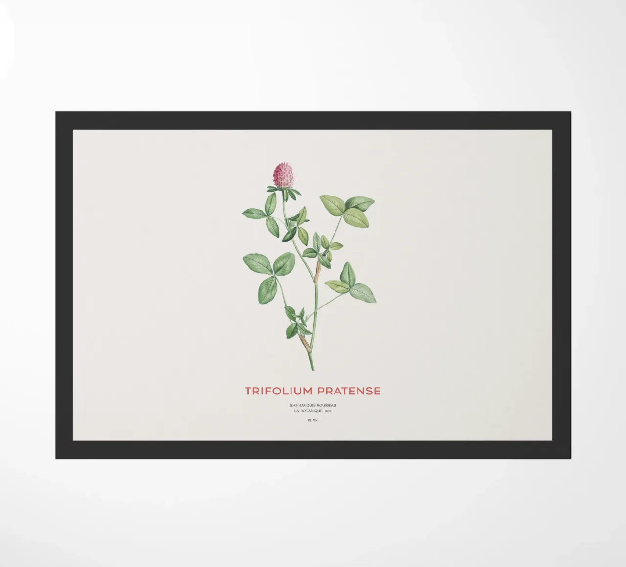 Rotklee oder Trifolium pratense Fußmatte von Vintagrafica
