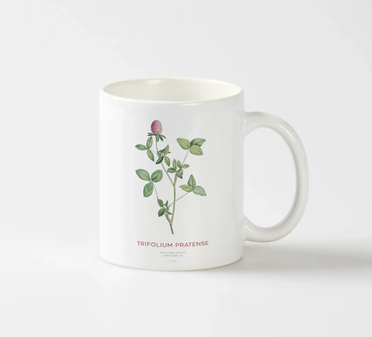 Trifoglio rosso o Trifolium pratense tazza in ceramica da Vintagrafica