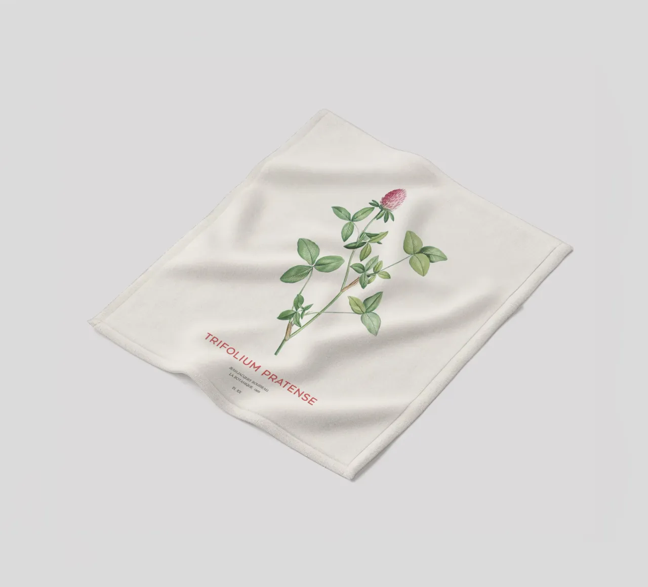 Rotklee oder Trifolium pratense Fleecedecke von Vintagrafica