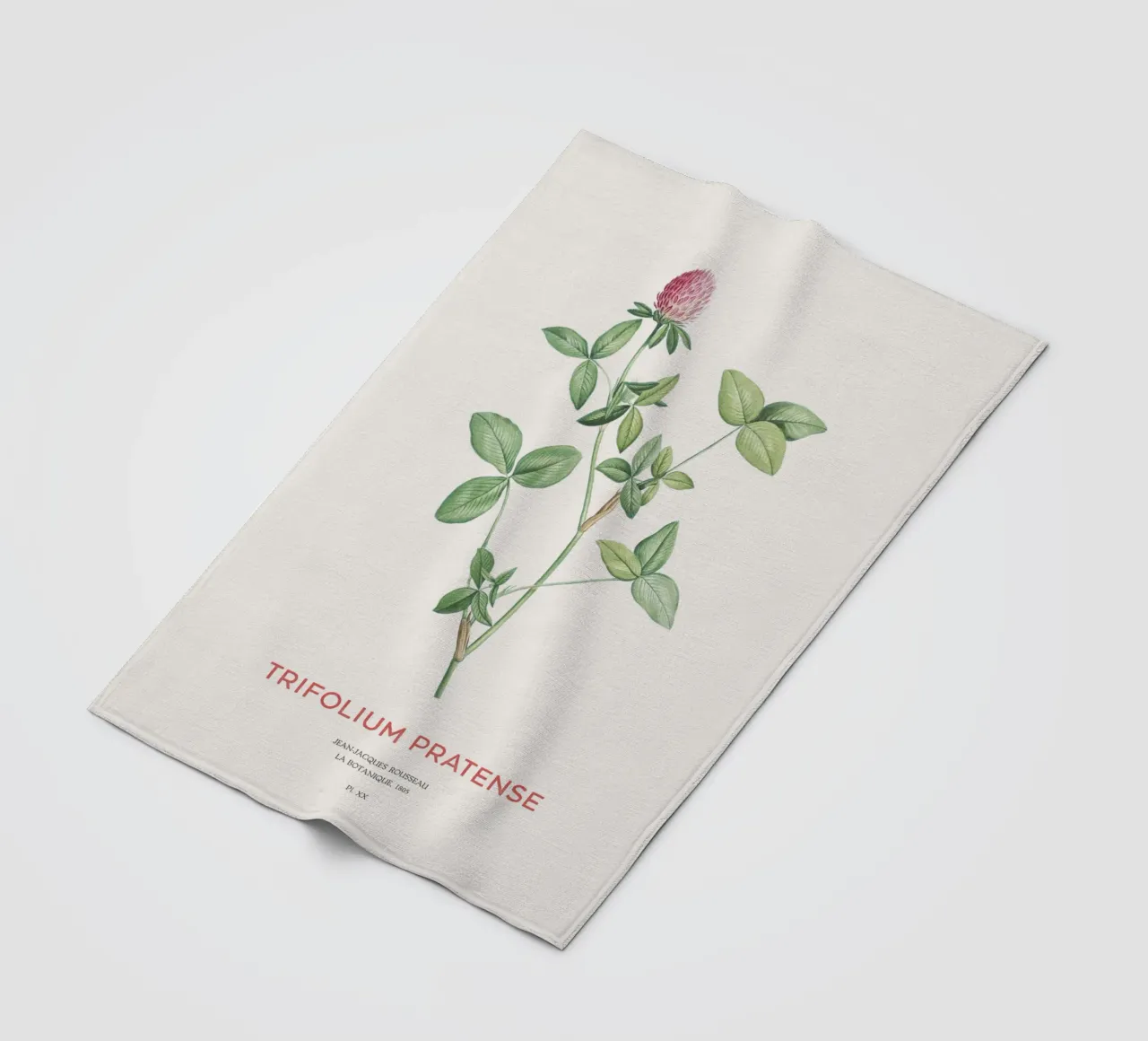 Rotklee oder Trifolium pratense Fleecedecke von Vintagrafica
