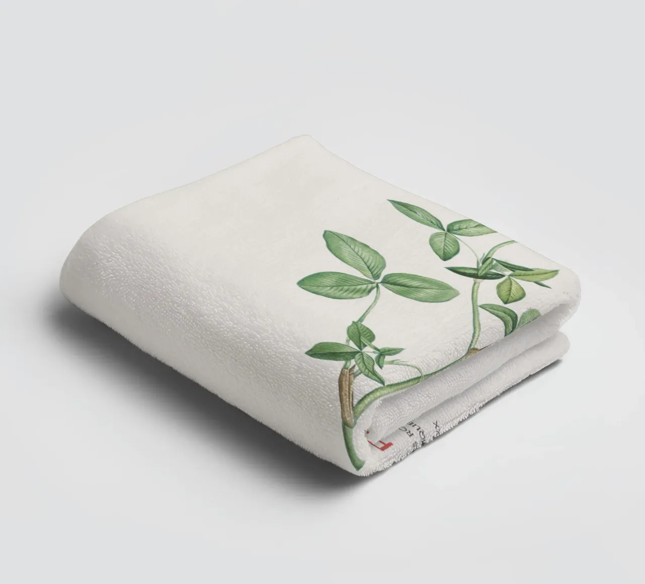 Rotklee oder Trifolium pratense Handtuch von Vintagrafica
