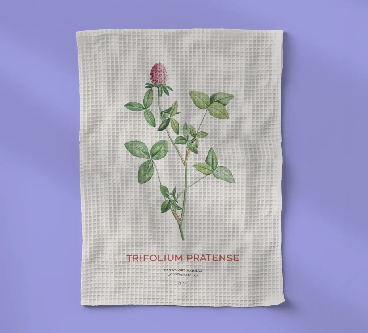 Rotklee oder Trifolium pratense Geschirrtuch von Vintagrafica