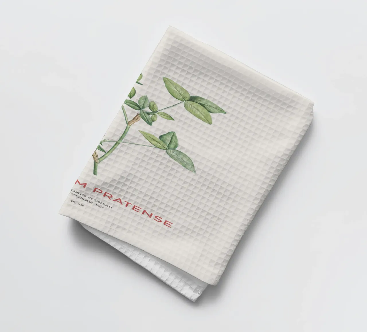 Rotklee oder Trifolium pratense Geschirrtuch von Vintagrafica