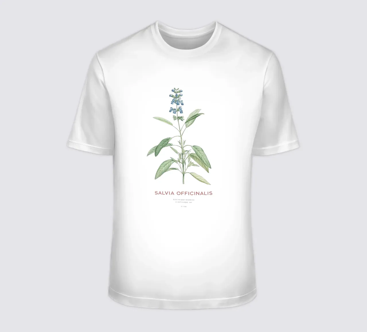 Salbei oder Salvia officinalis T-Shirt von Vintagrafica
