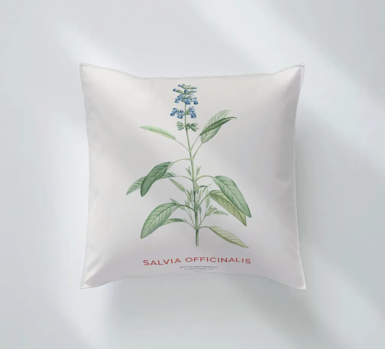 Salvia o Salvia officinalis cuscino da Vintagrafica