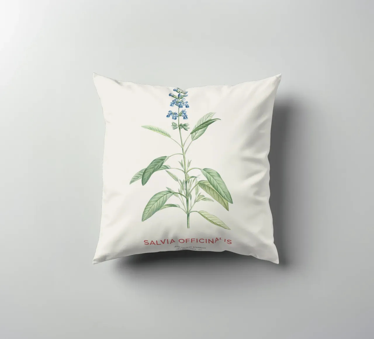 Salvia o Salvia officinalis cuscino da Vintagrafica