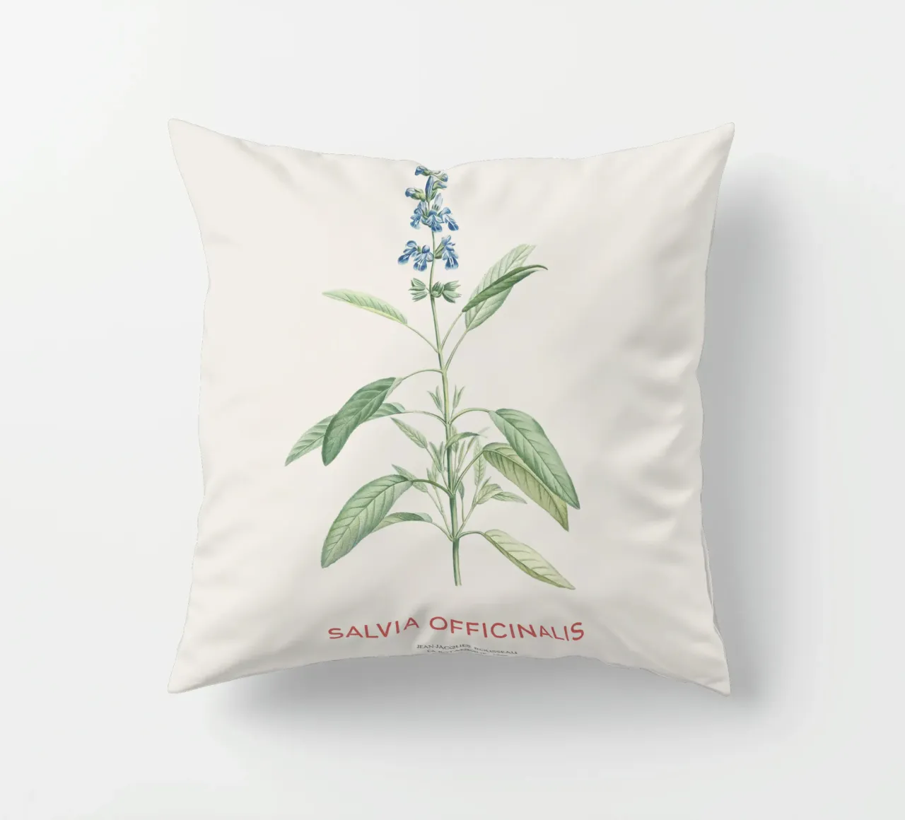 Salvia o Salvia officinalis cuscino da Vintagrafica