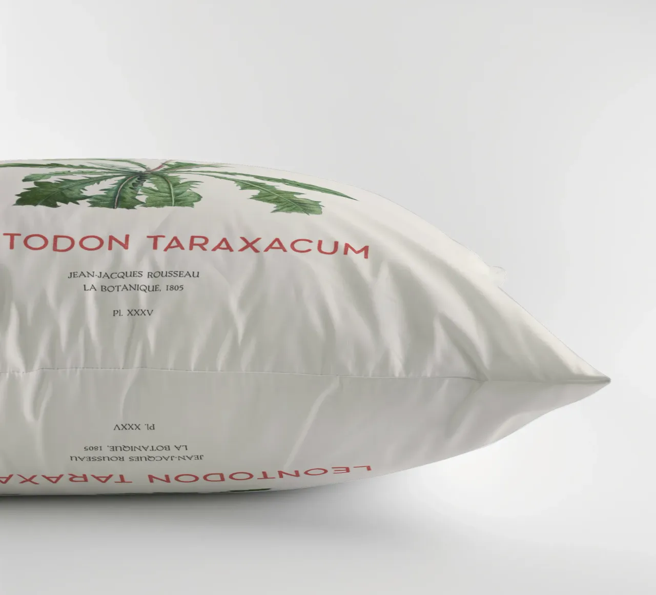 Tarassaco o Leontodon taraxacum cuscino da Vintagrafica
