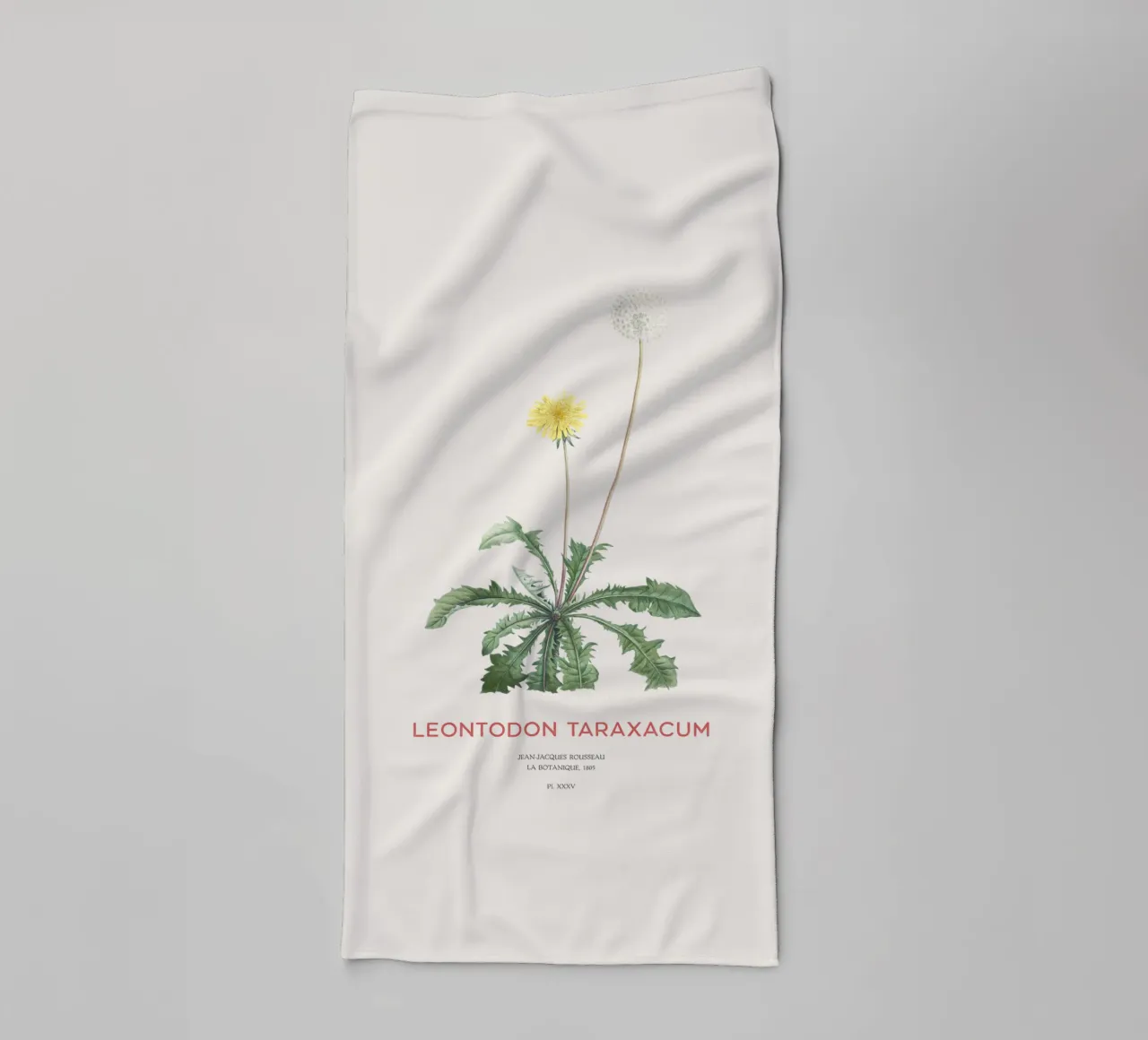Löwenzahn oder Leontodon taraxacum Handtuch von Vintagrafica