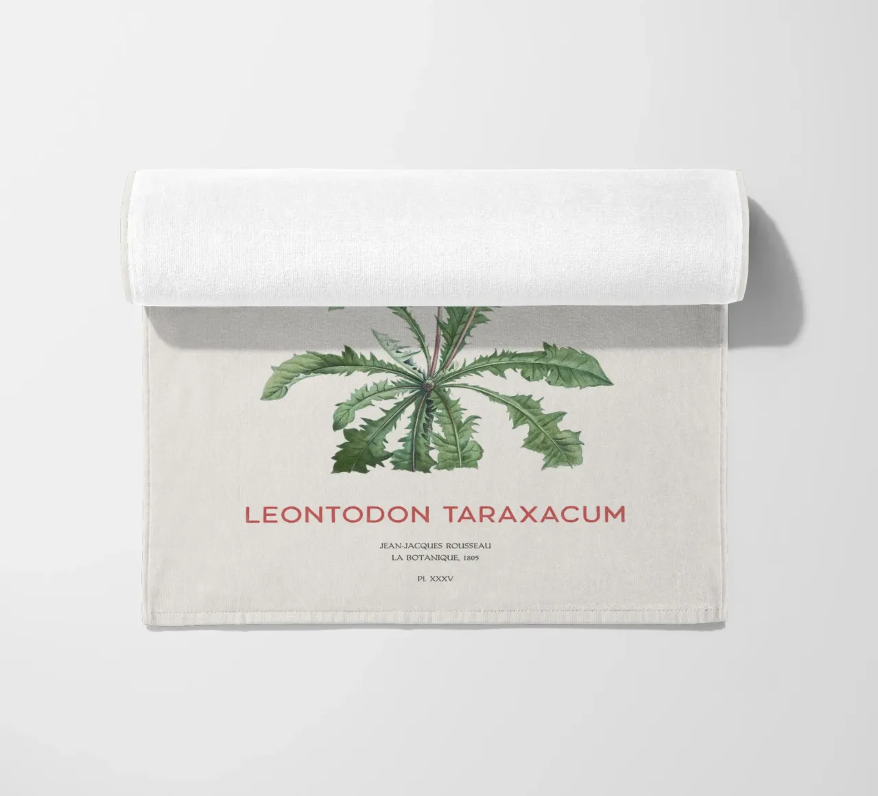 Löwenzahn oder Leontodon taraxacum Strandtuch von Vintagrafica