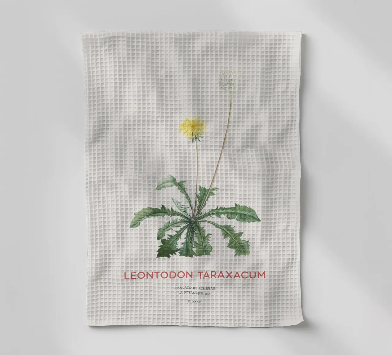 Löwenzahn oder Leontodon taraxacum Geschirrtuch von Vintagrafica