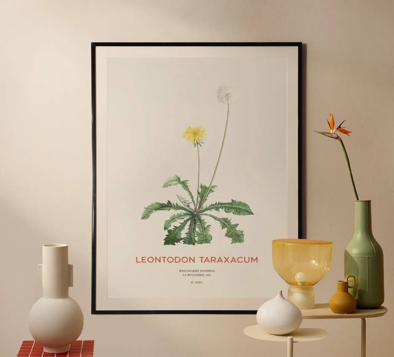 Löwenzahn oder Leontodon taraxacum Hahnemühle von Vintagrafica