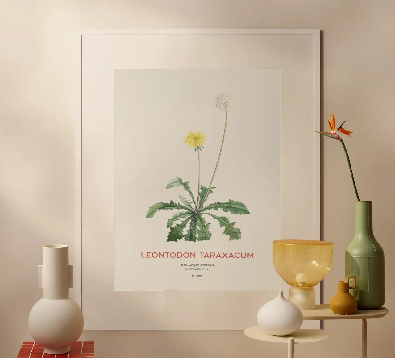 Löwenzahn oder Leontodon taraxacum Hahnemühle von Vintagrafica