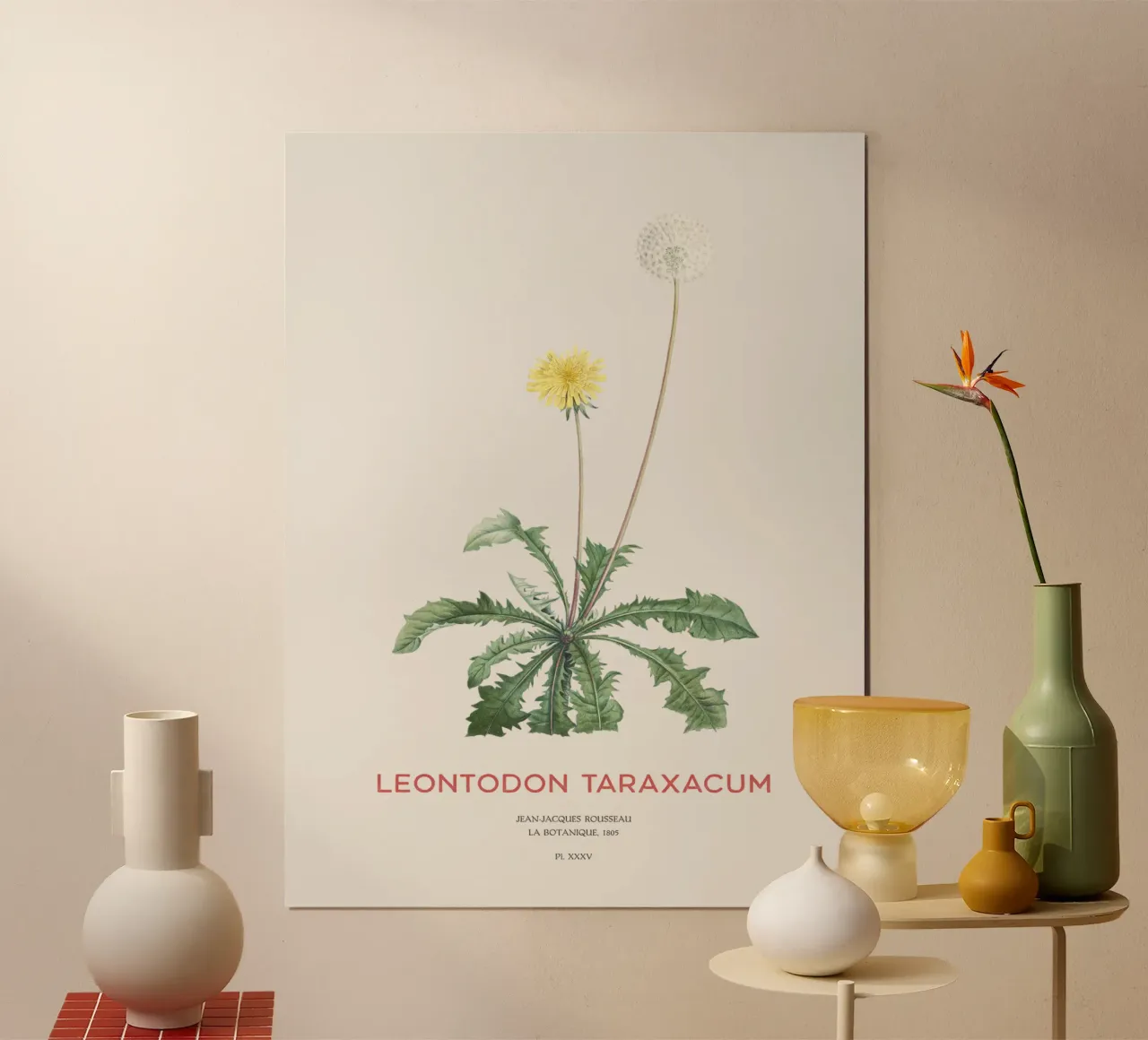 Löwenzahn oder Leontodon taraxacum Hahnemühle von Vintagrafica