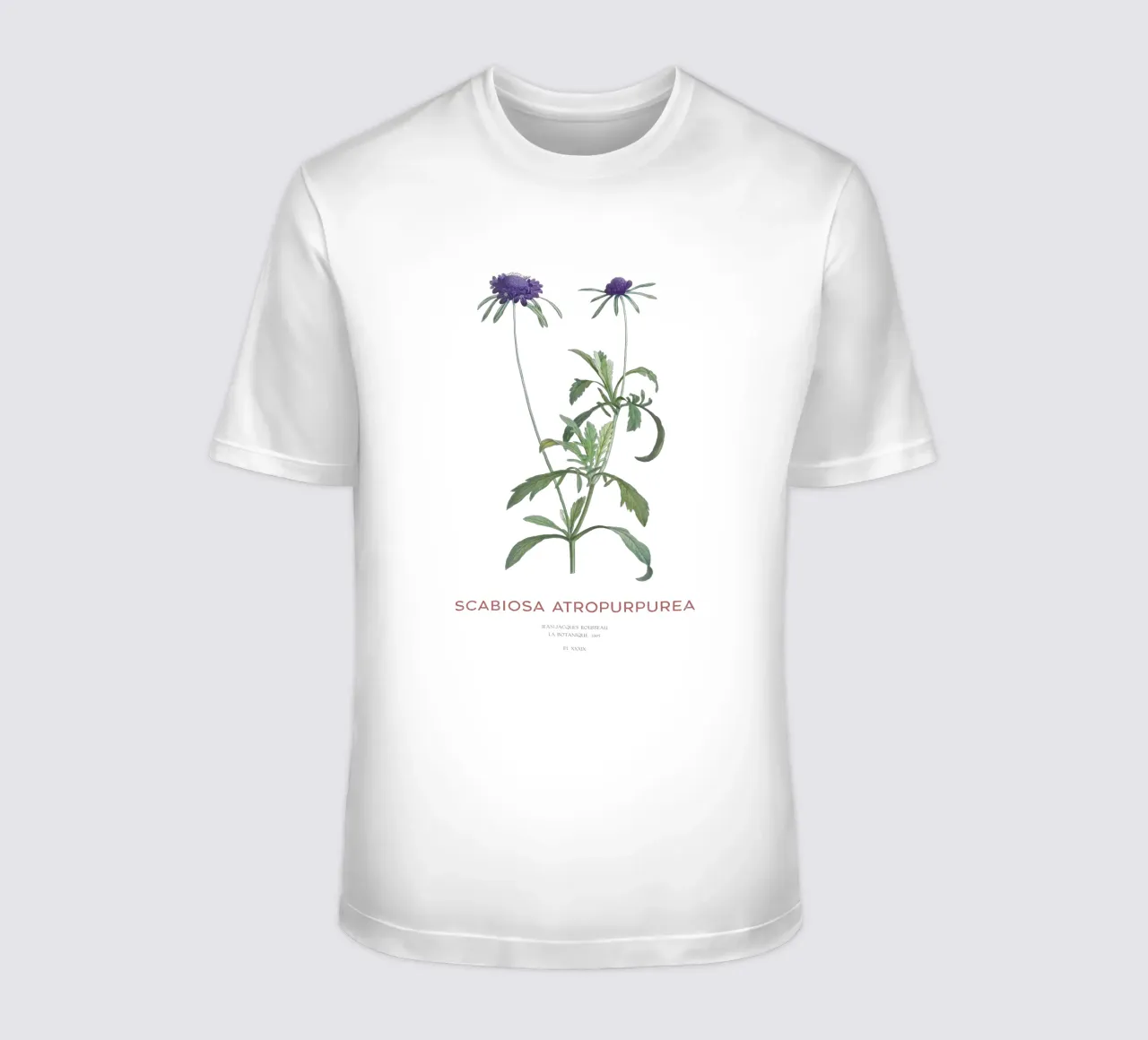 Fiore a puntaspilli o Scabiosa atropurpurea t-shirt da Vintagrafica
